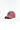 #color_burlwood-pink-2465