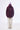#color_winetasting-2328