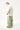 #color_sage-green-2629