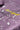 #color_deep-purple-27127