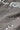 #color_lizard-27140