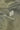 #color_grey-green-26105