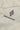#color_ivory-26105