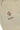 #color_pale-khaki-2647
