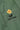 #color_vineyard-green-26106