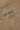 #color_antique-bronze-2653