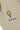 #color_pale-khaki-26104
