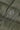 #color_dark-olive-26109