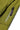 #color_perfect-pear-26110