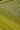 #color_perfect-pear-26110