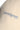 #color_ivory-2662