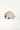 #color_ivory-2662